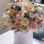 Peach Delight