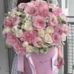 Pretty In Pink