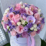 Lilac Blooms