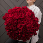 Red Roses