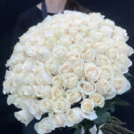 White Roses