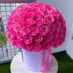 Bright Pink Roses