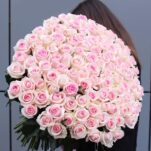 Pink Roses