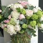 Blooming
