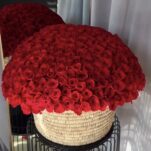500 red roses